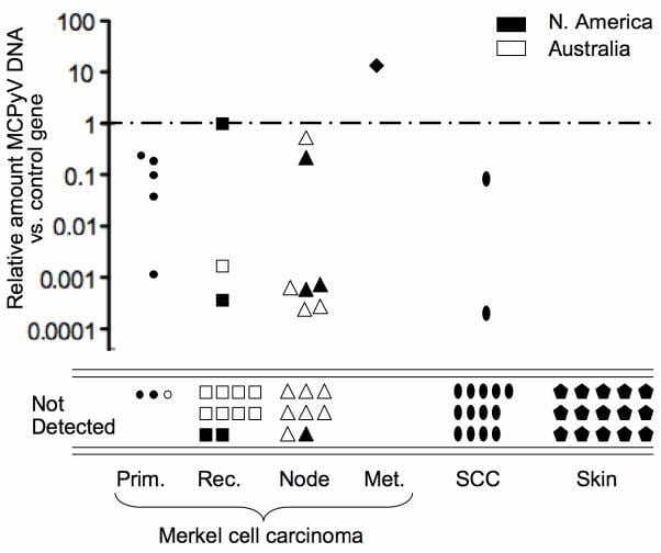 Figure 2 - Marked variability of Merkel cell polyomavirus DNA quantity among MCC tumors